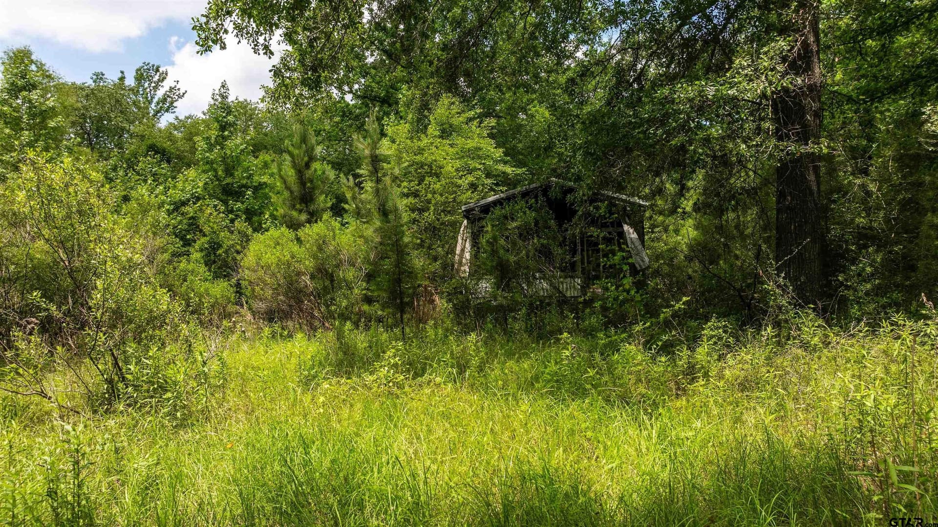 7.9 acres in Anderson County gallery image 4
