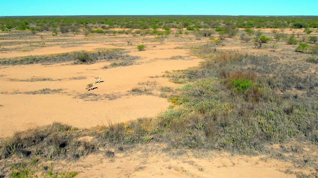 680 acres in Reeves County - photo 4
