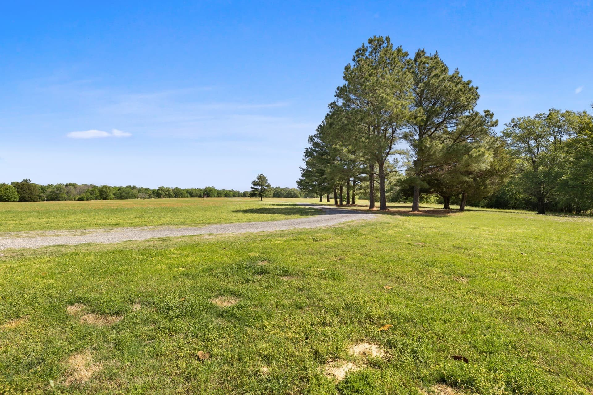 86 acres in Van Zandt County gallery image 3
