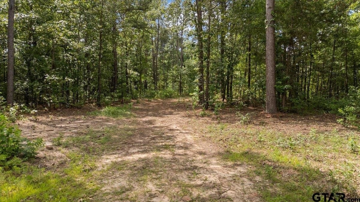 100.5 acres in Wood County - photo 20