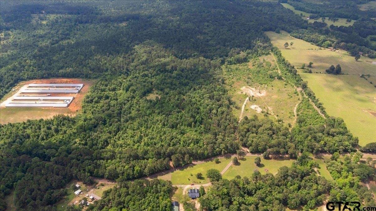 100.5 acres in Wood County - photo 6
