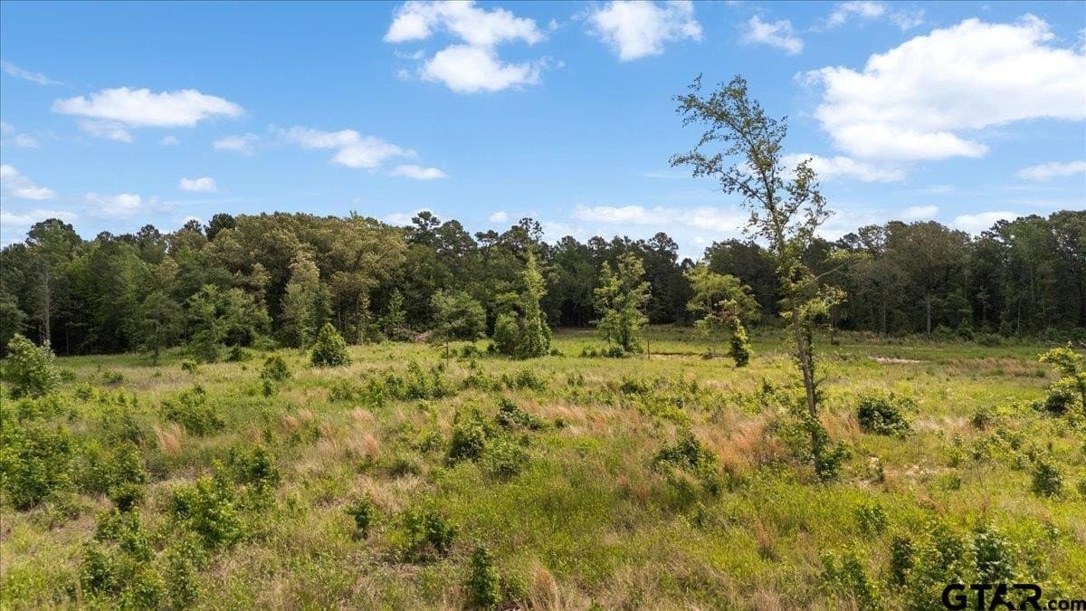 100.5 acres in Wood County - photo 11