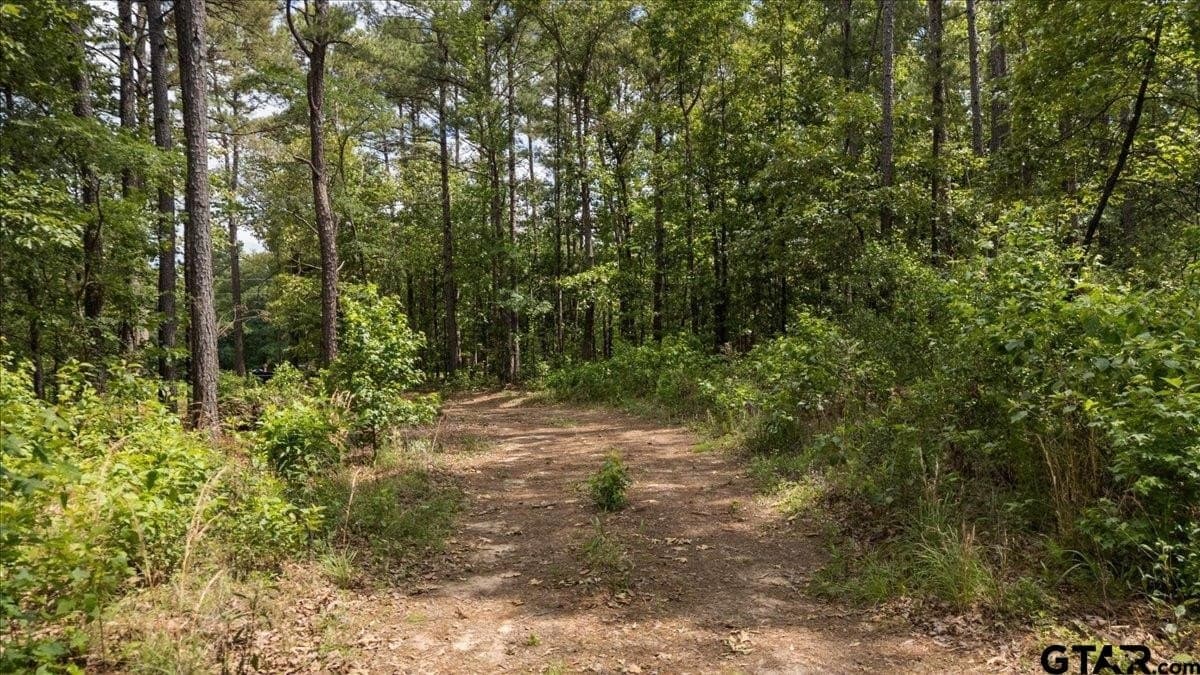 100.5 acres in Wood County - photo 2