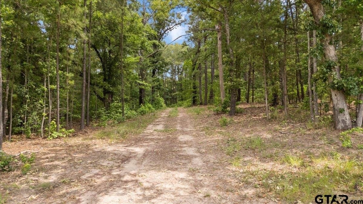 100.5 acres in Wood County - photo 18