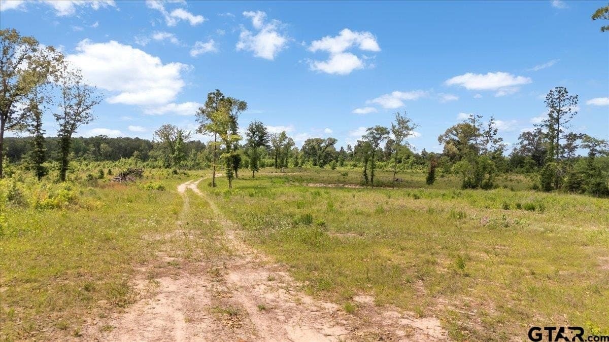 100.5 acres in Wood County - photo 19