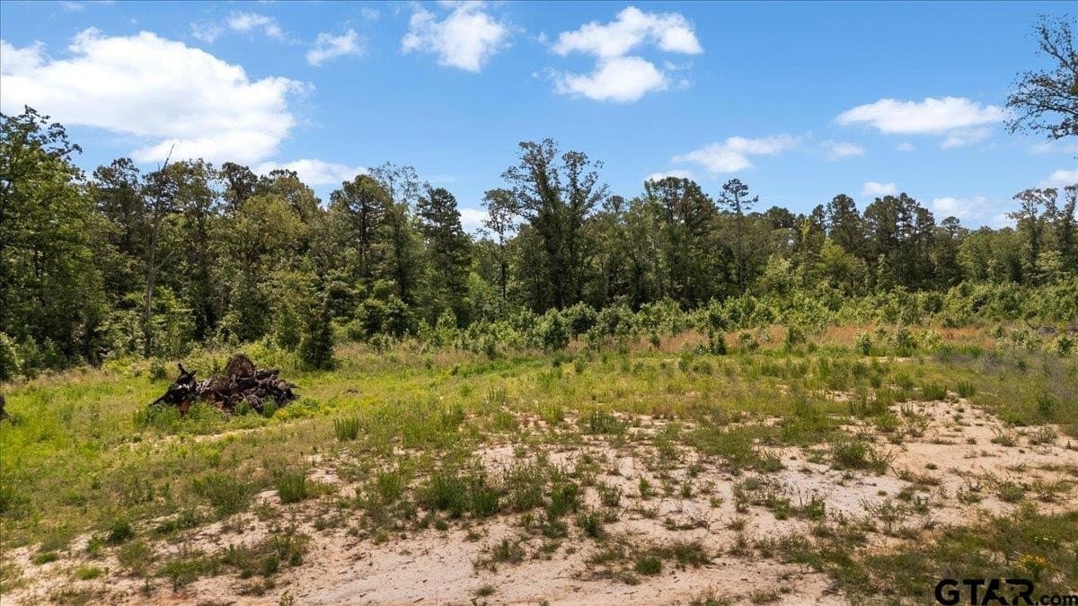 100.5 acres in Wood County - photo 16