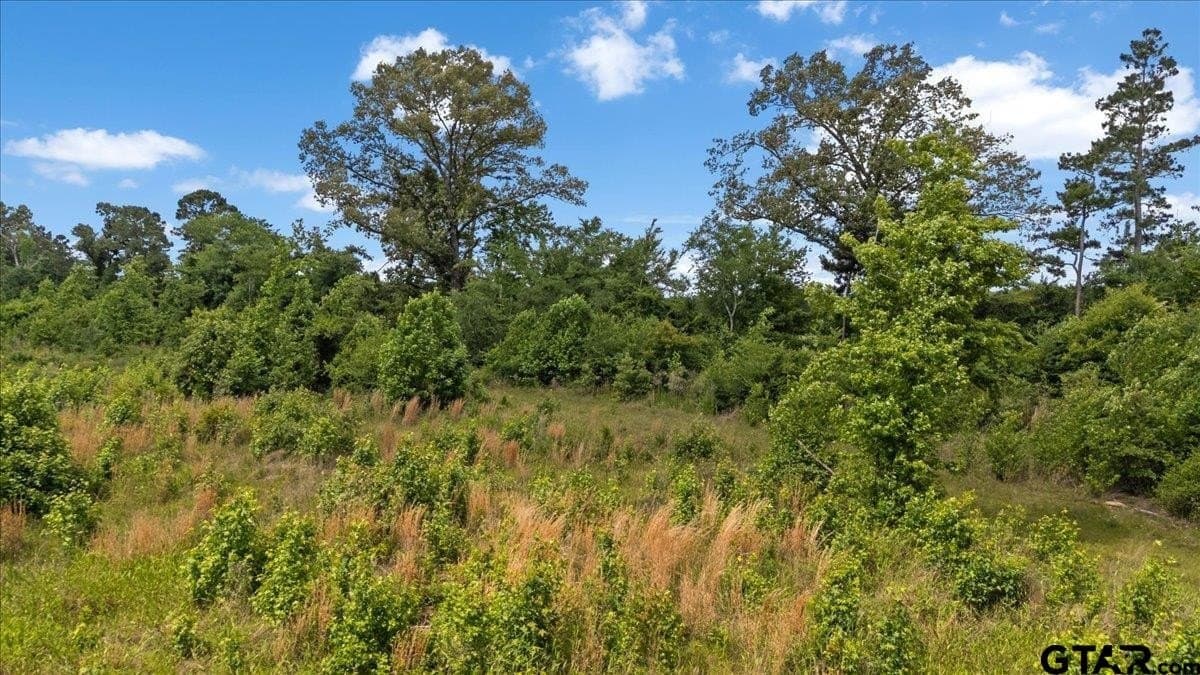100.5 acres in Wood County - photo 13