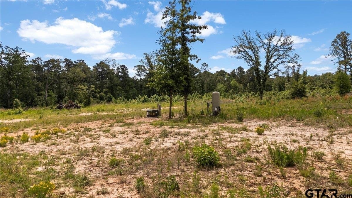 100.5 acres in Wood County - photo 14