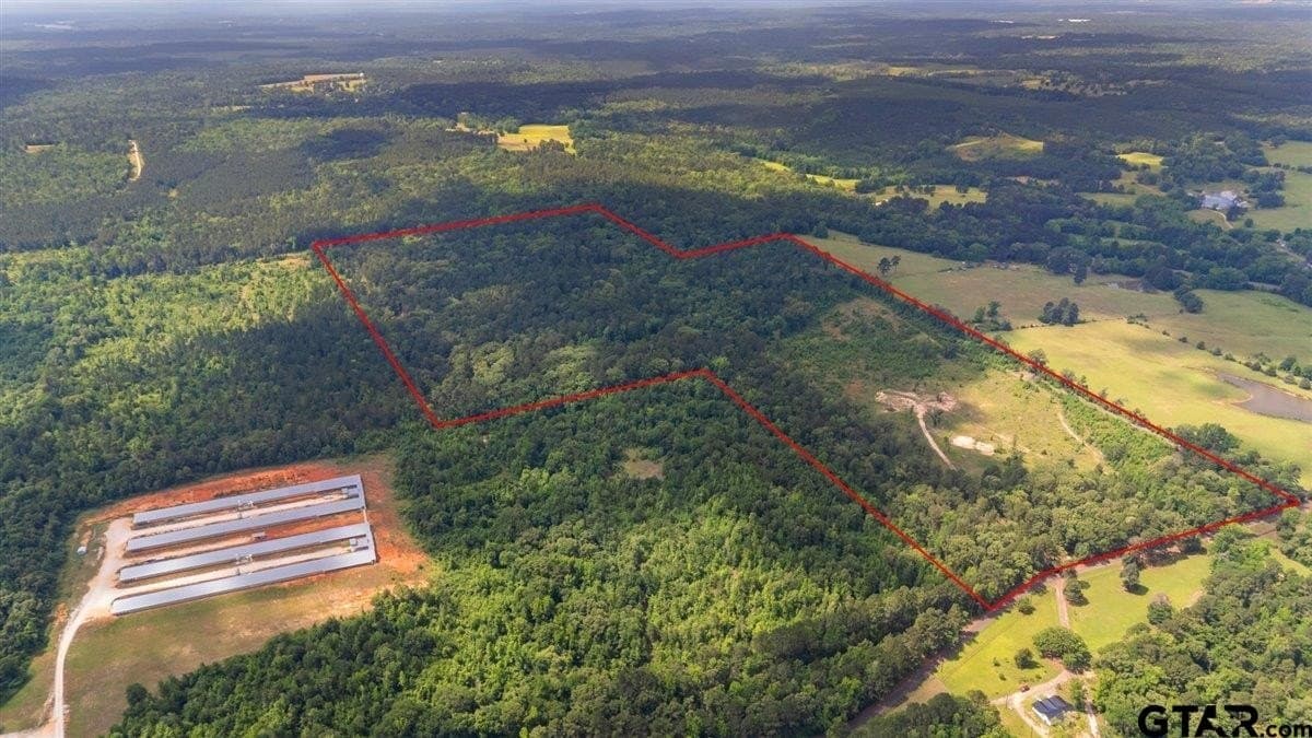 100.5 acres in Wood County - photo 4
