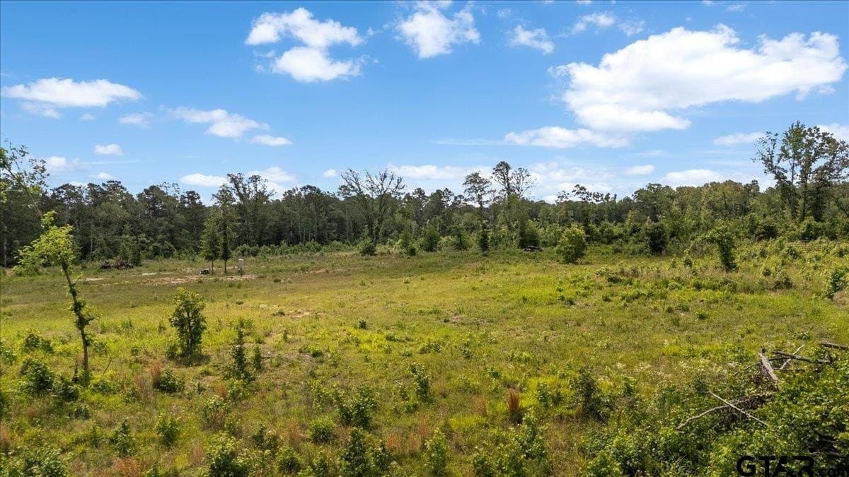 100.5 acres in Wood County - photo 10