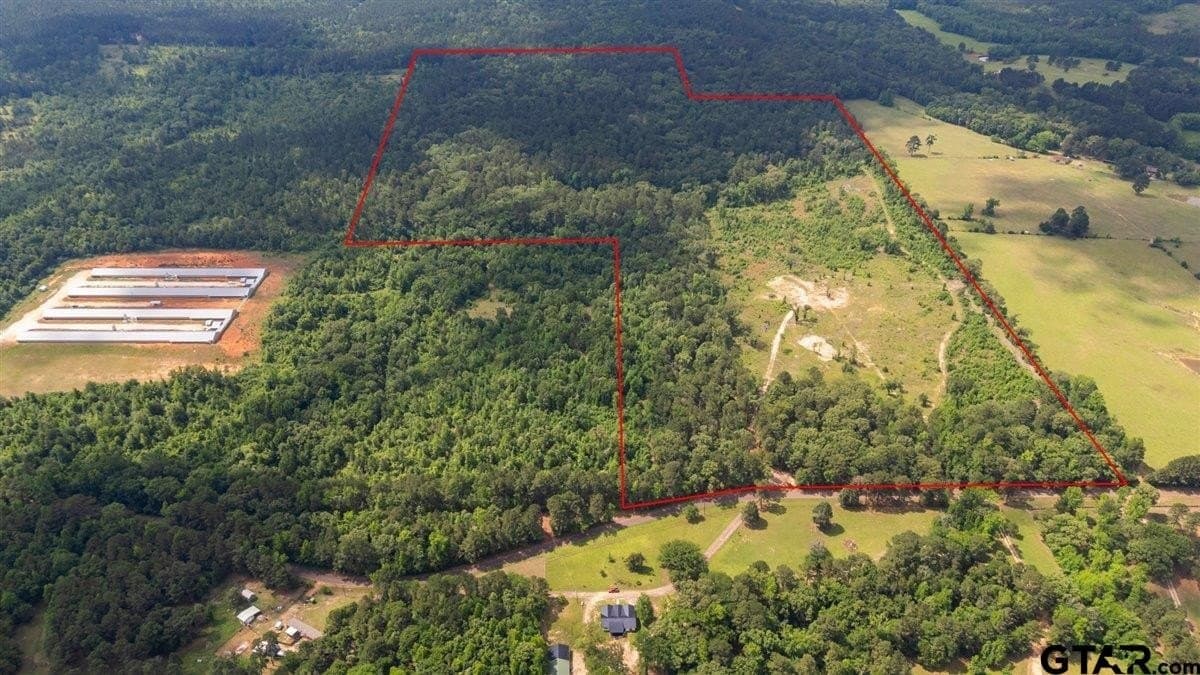 100.5 acres in Wood County - photo 3