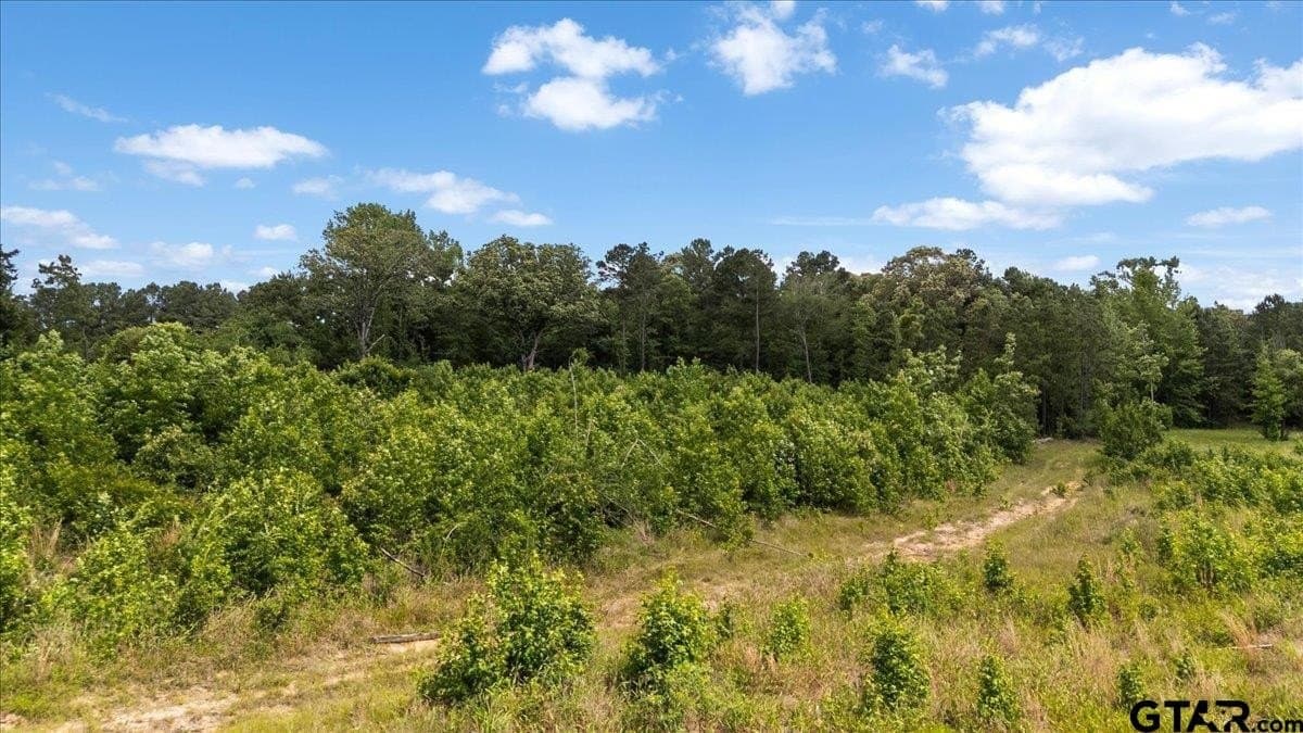 100.5 acres in Wood County - photo 12