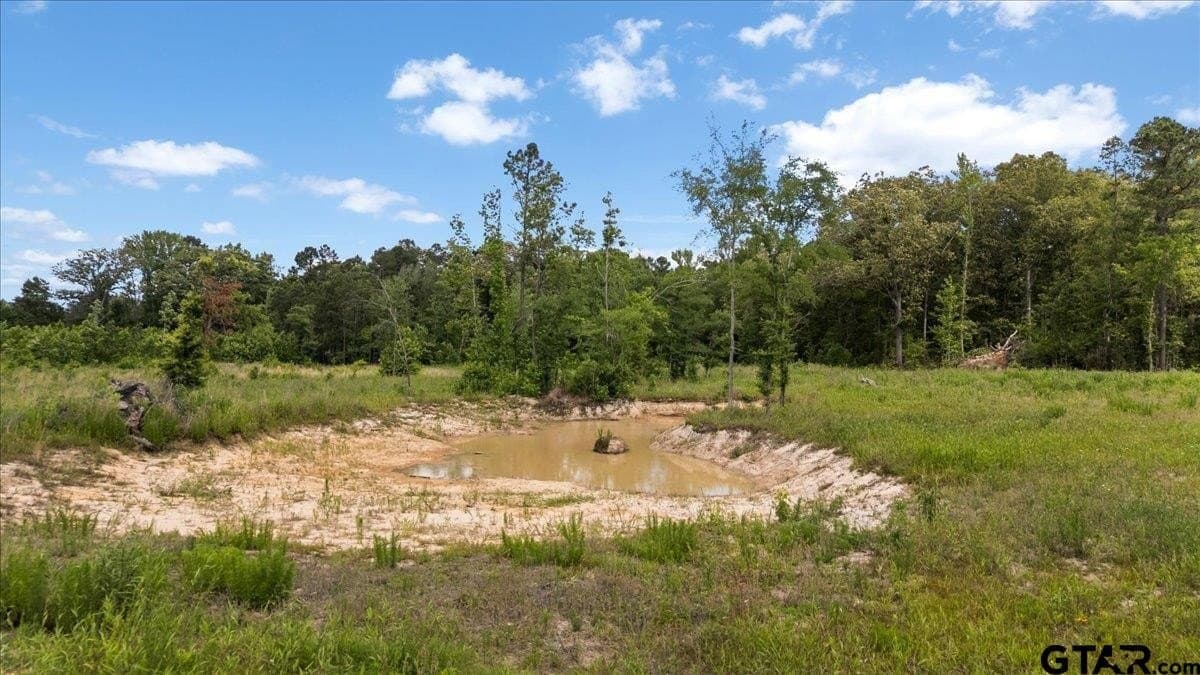 100.5 acres in Wood County - photo 17