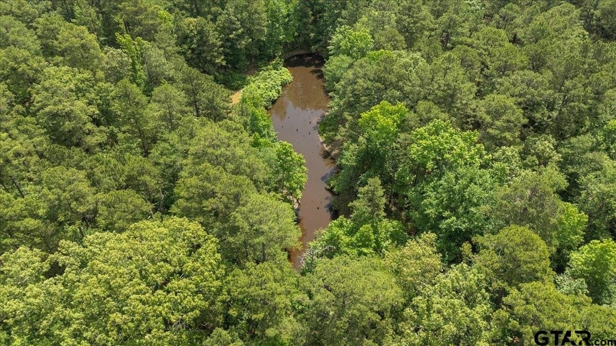 100.5 acres in Wood County - photo 22