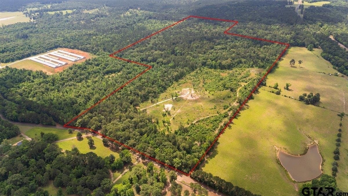 100.5 acres in Wood County - photo 5