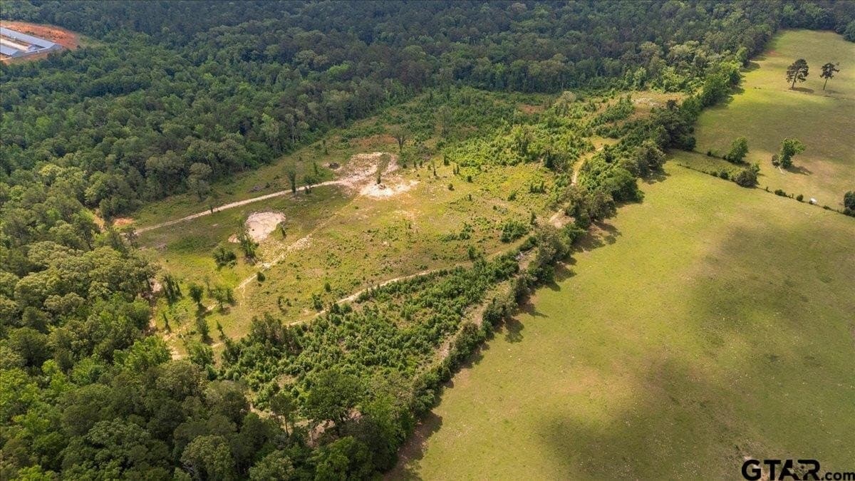 100.5 acres in Wood County - photo 9