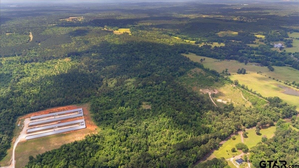 100.5 acres in Wood County - photo 7