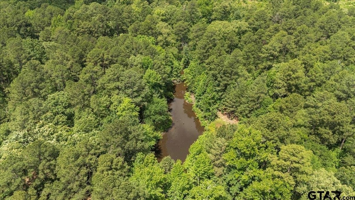 100.5 acres in Wood County - photo 23