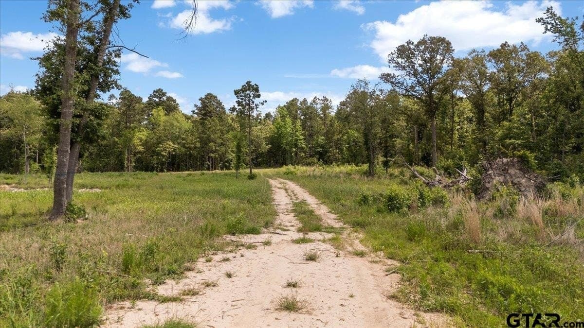 100.5 acres in Wood County