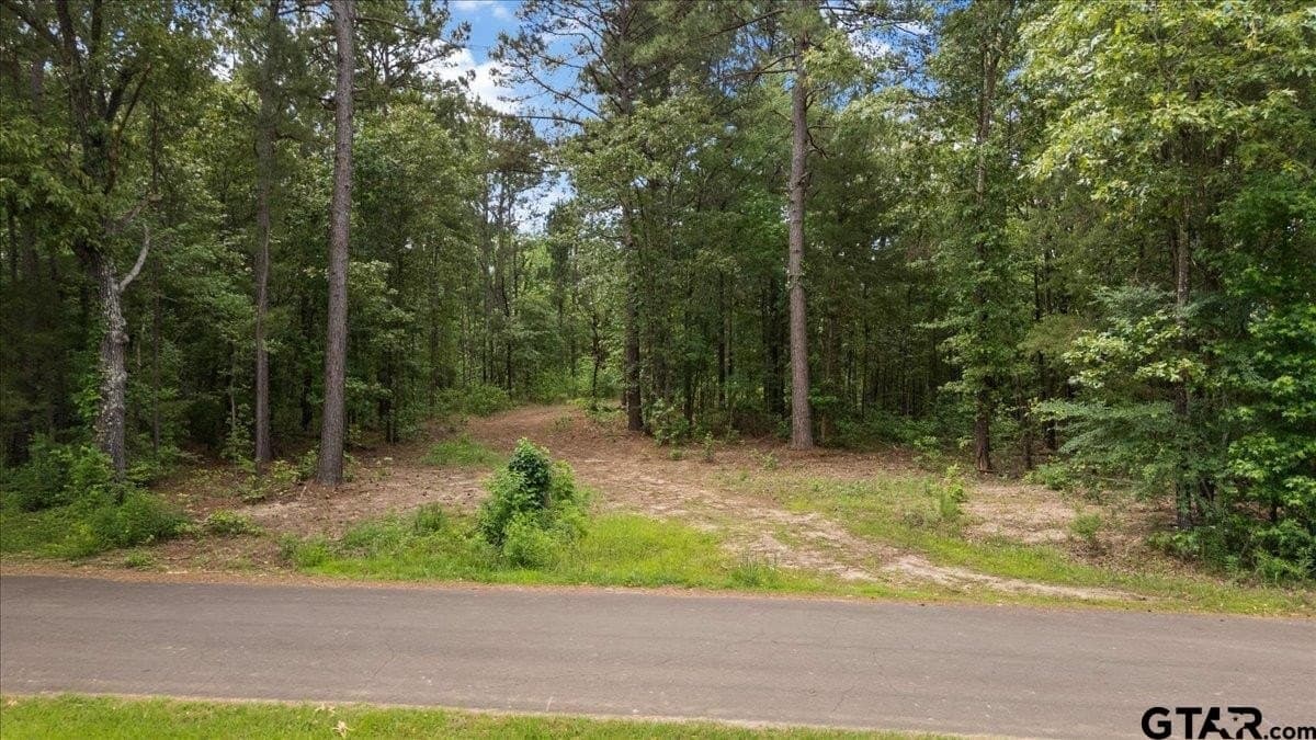 100.5 acres in Wood County - photo 21