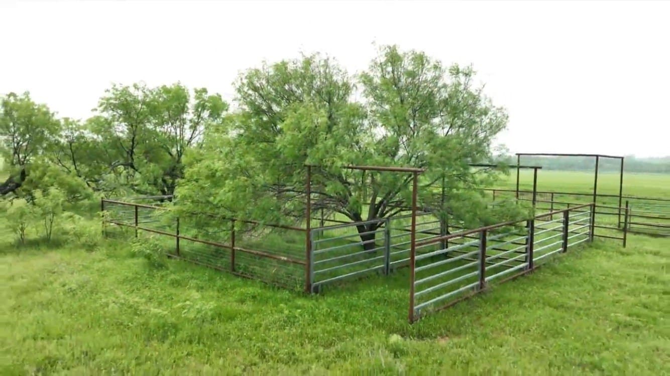 23.91 acres in Eastland County - photo 6