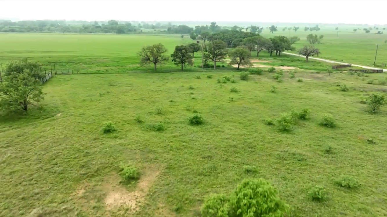 23.91 acres in Eastland County - photo 8