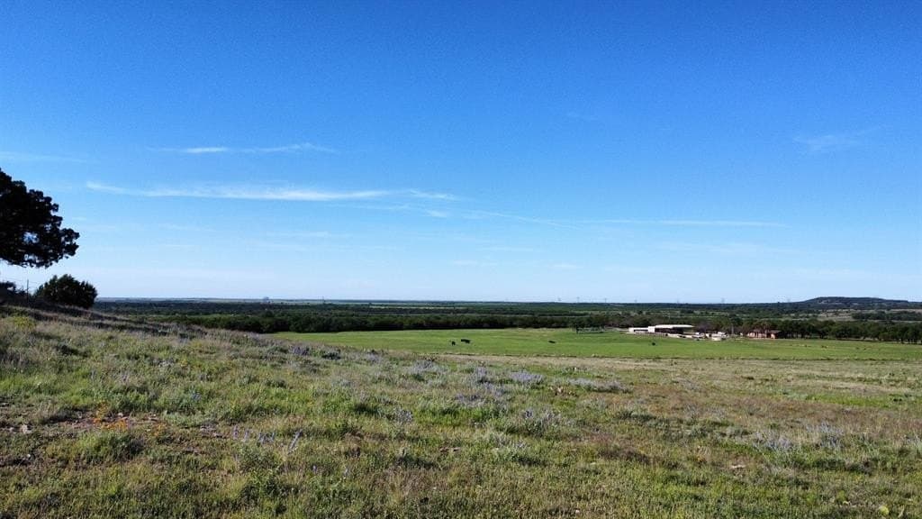 127.55 acres in Taylor County gallery image 4