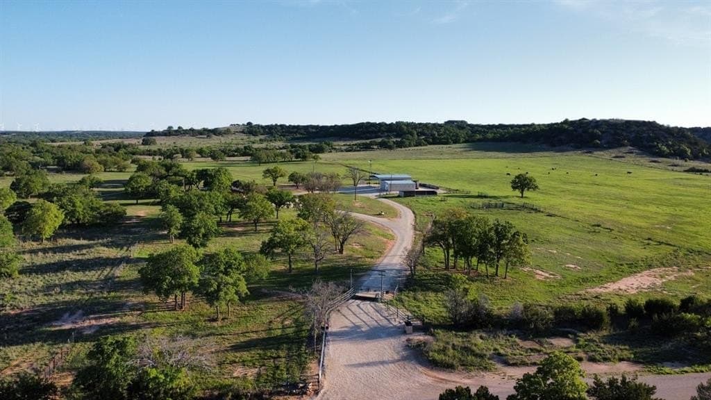 127.55 acres in Taylor County gallery image 2
