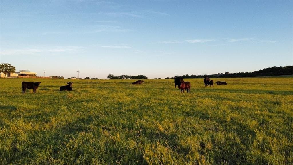 127.55 acres in Taylor County featured view