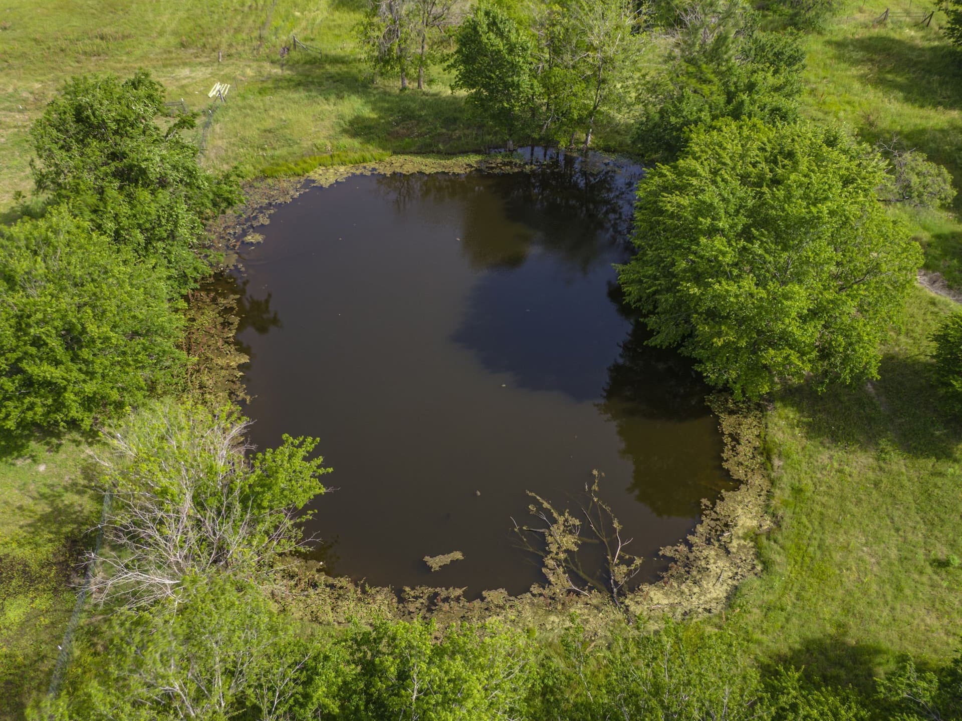 8.12 acres in Ellis County featured view