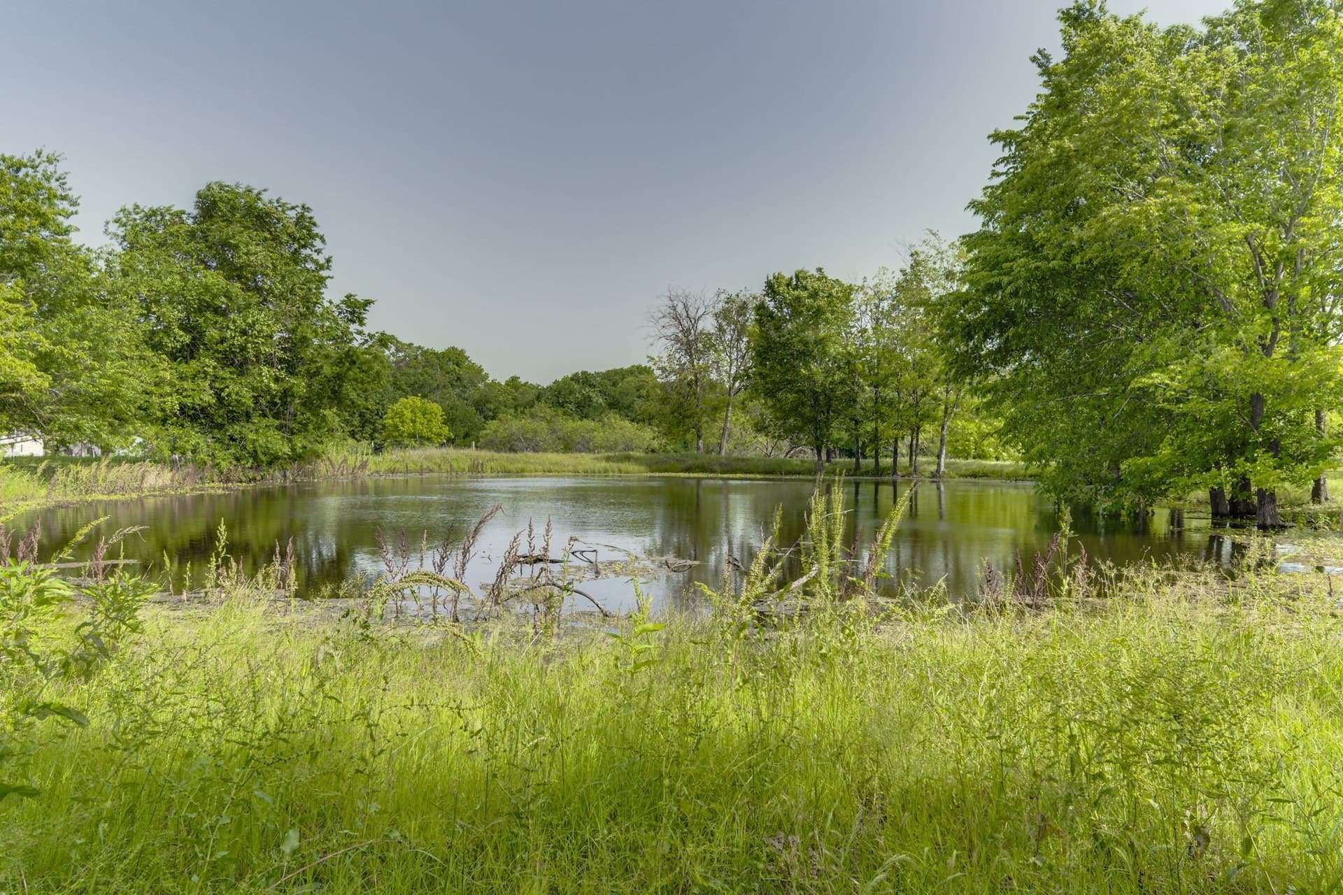 8.12 acres in Ellis County - photo 7