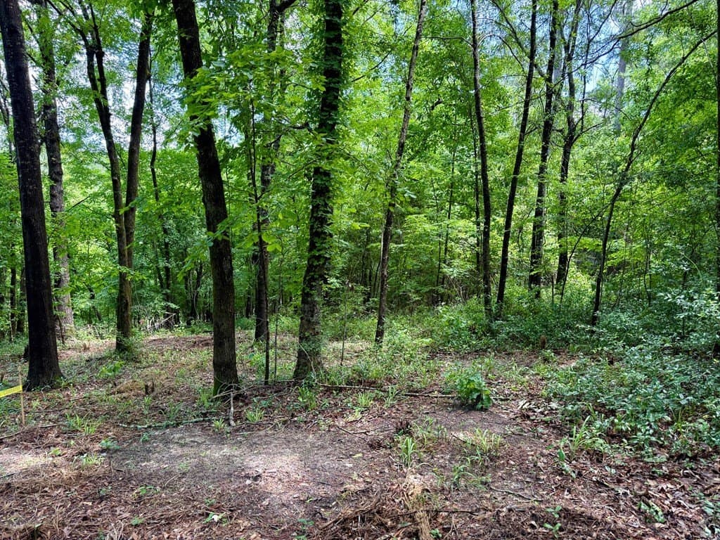 1.32 acres in Texas County - photo 7