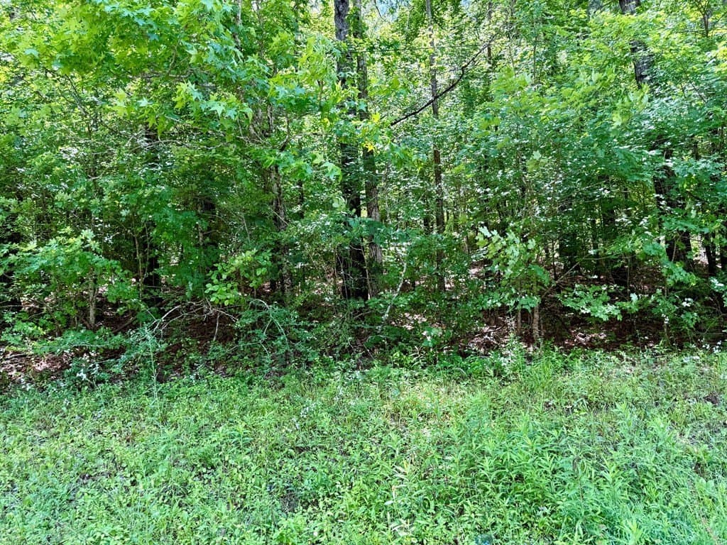 1.32 acres in Texas County - photo 9