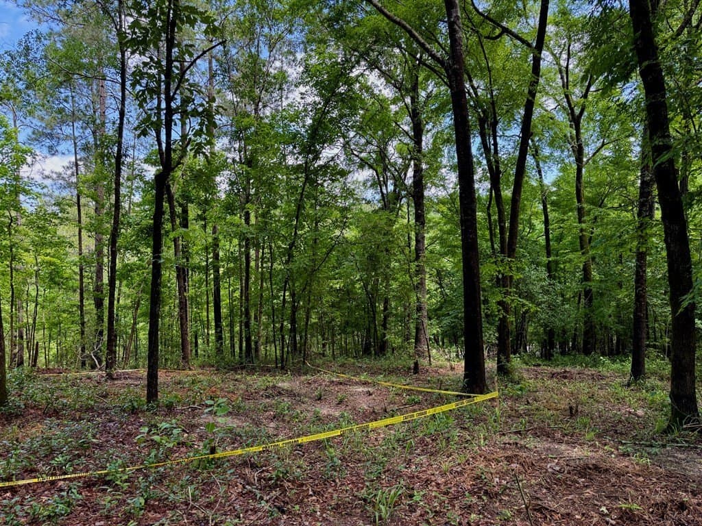 1.32 acres in Texas County - photo 8