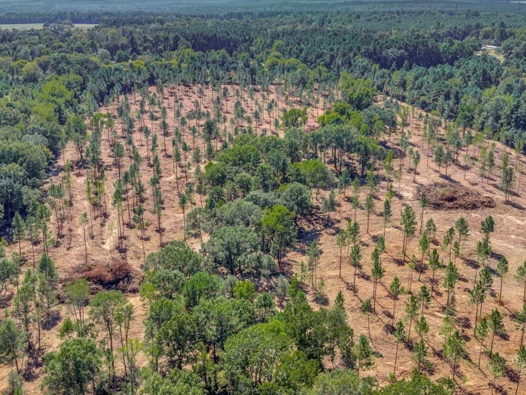 40.17 acres in Texas County gallery image 4