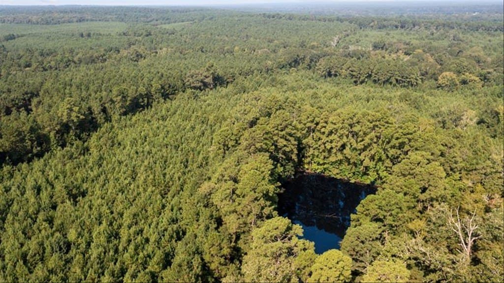 244.42 acres in Texas County - photo 43