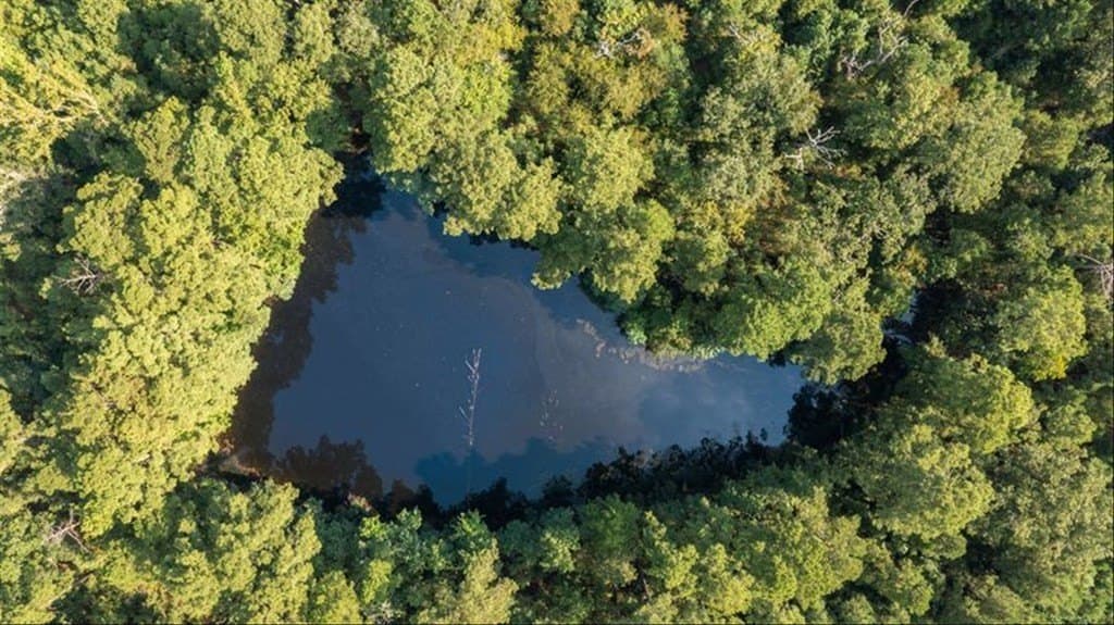 244.42 acres in Texas County - photo 44
