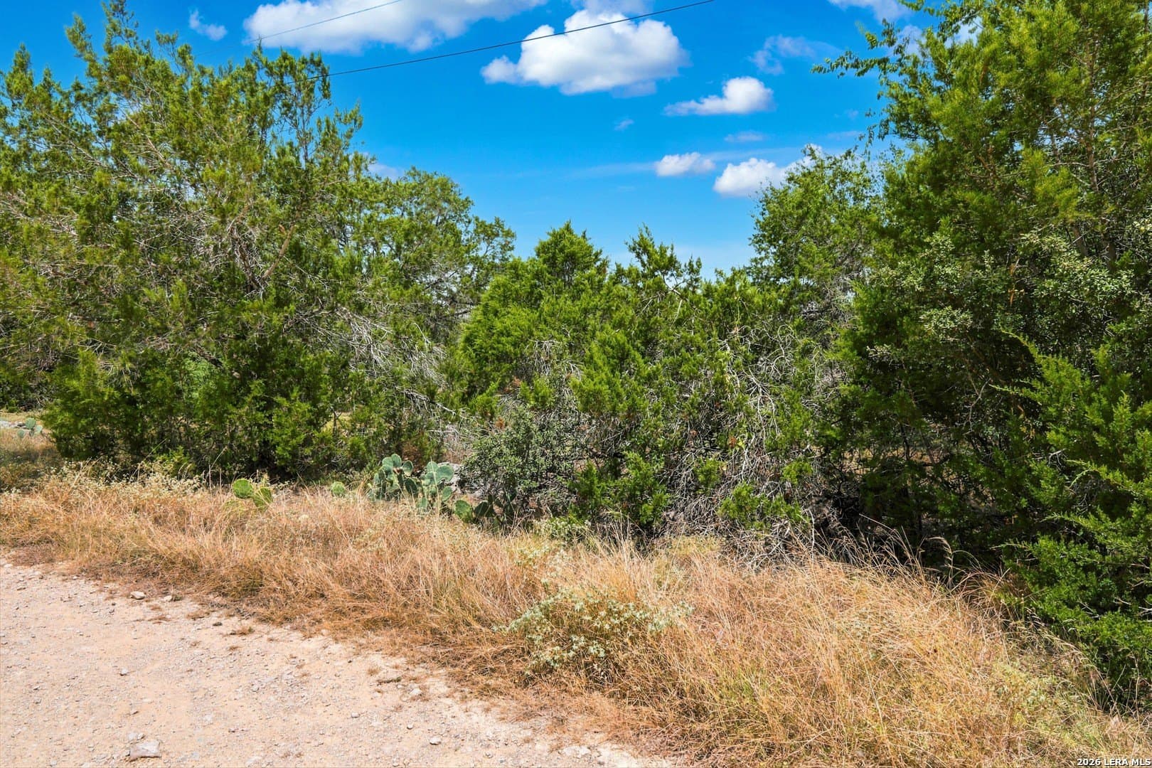 0.23 acres in Comal County - photo 20