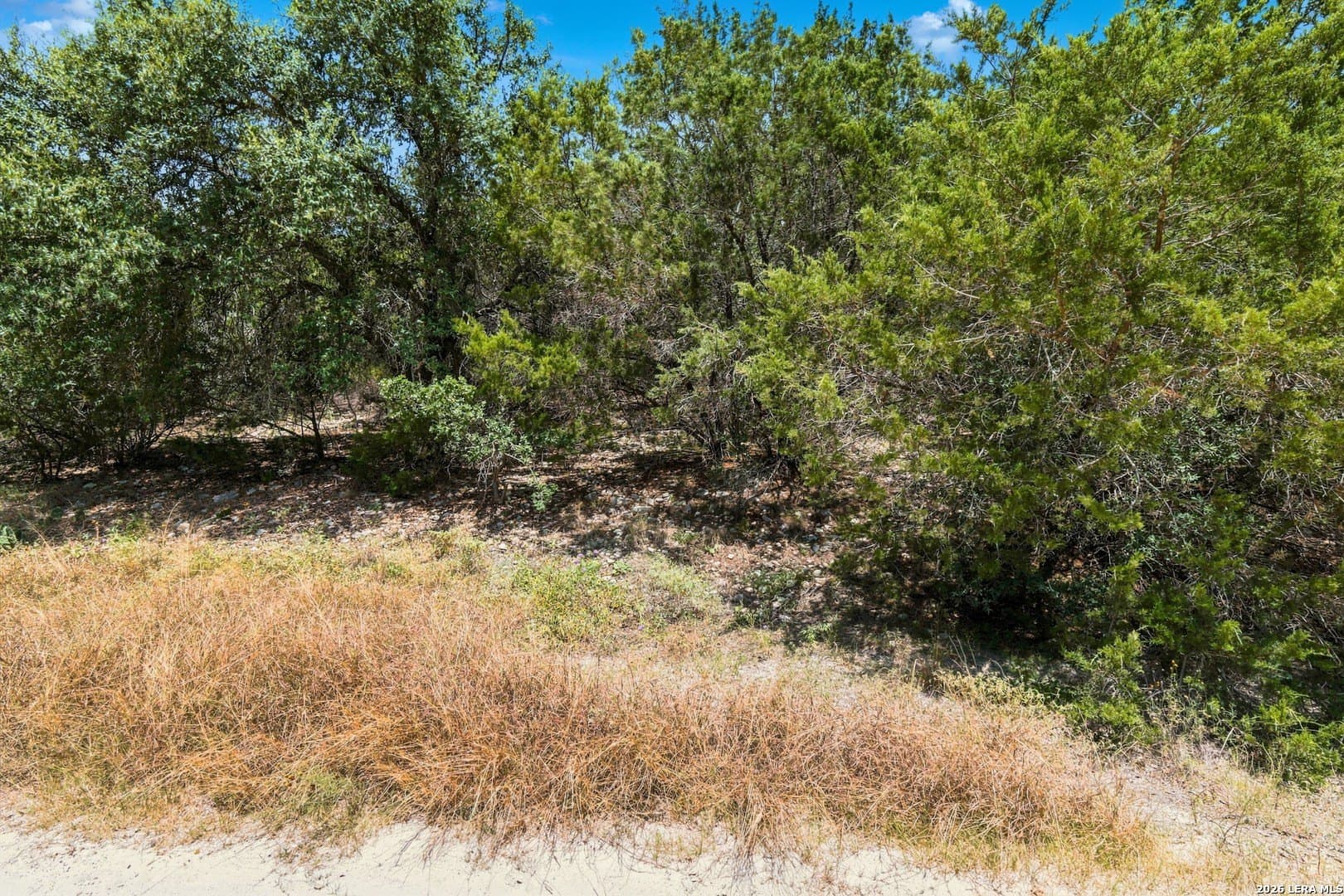 0.23 acres in Comal County - photo 17