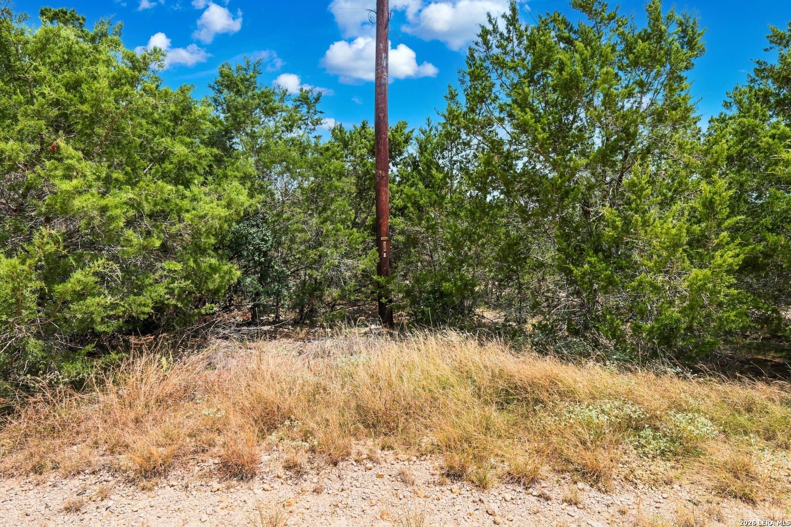 0.23 acres in Comal County - photo 15
