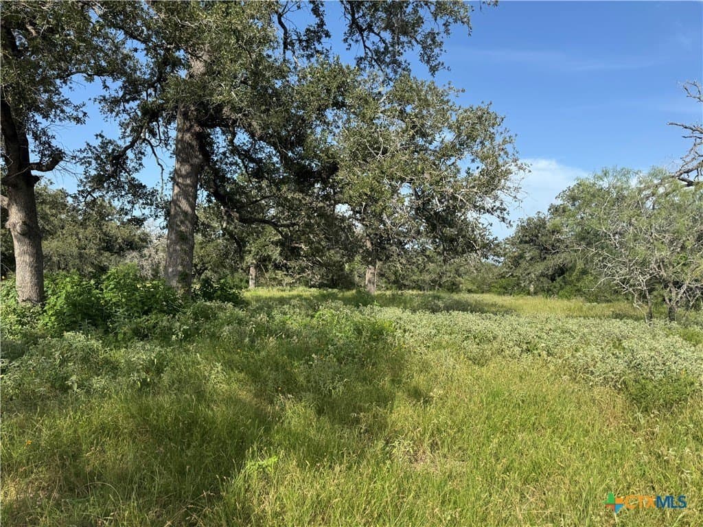 45.39 acres in Guadalupe County - photo 5