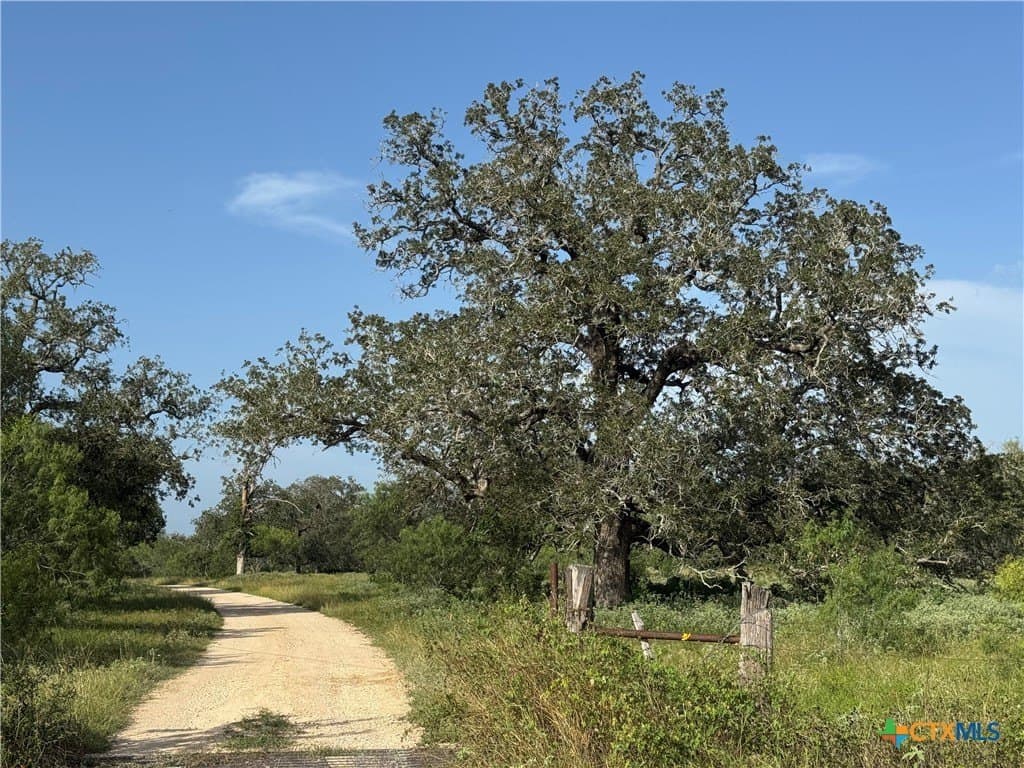 45.39 acres in Guadalupe County gallery image 2