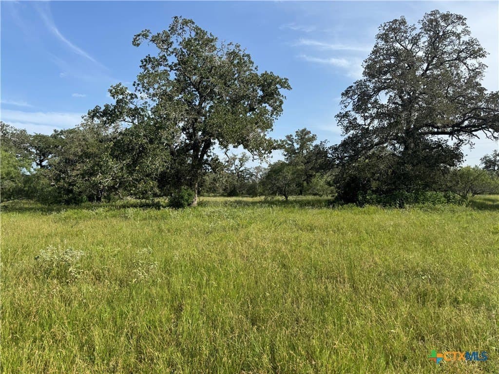 45.39 acres in Guadalupe County - photo 6