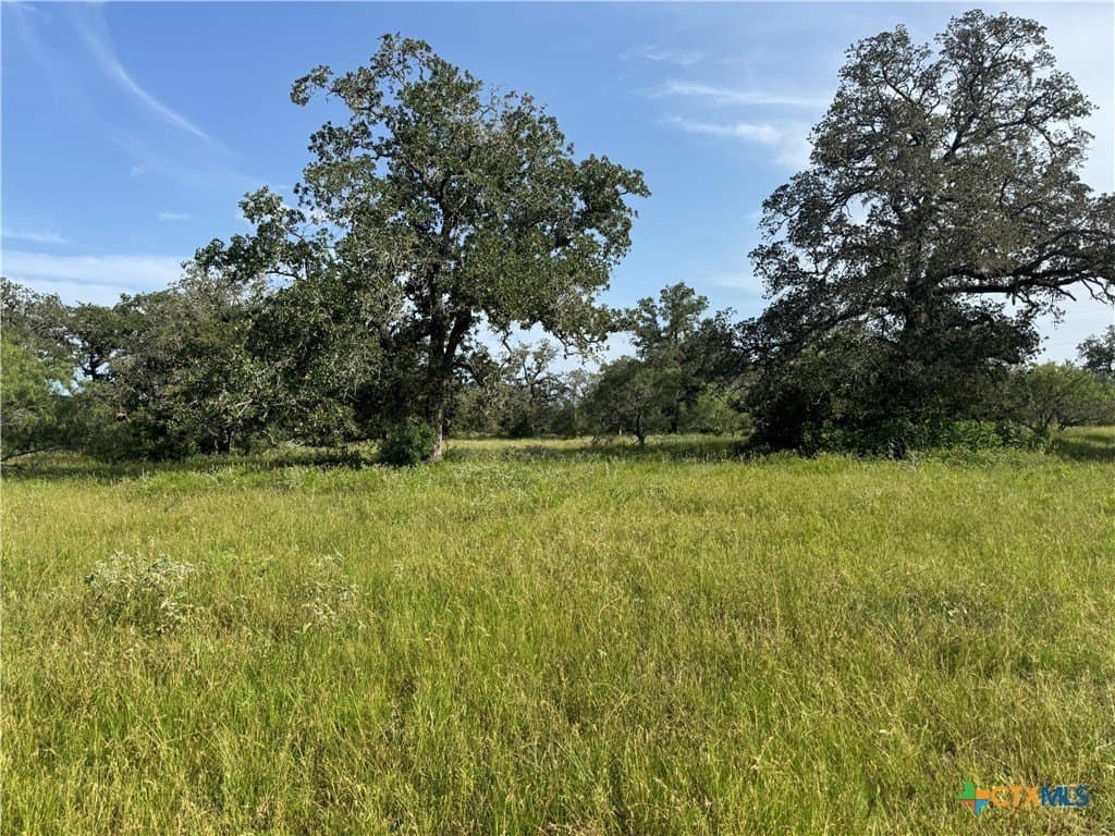 45.39 acres in Guadalupe County gallery image 3
