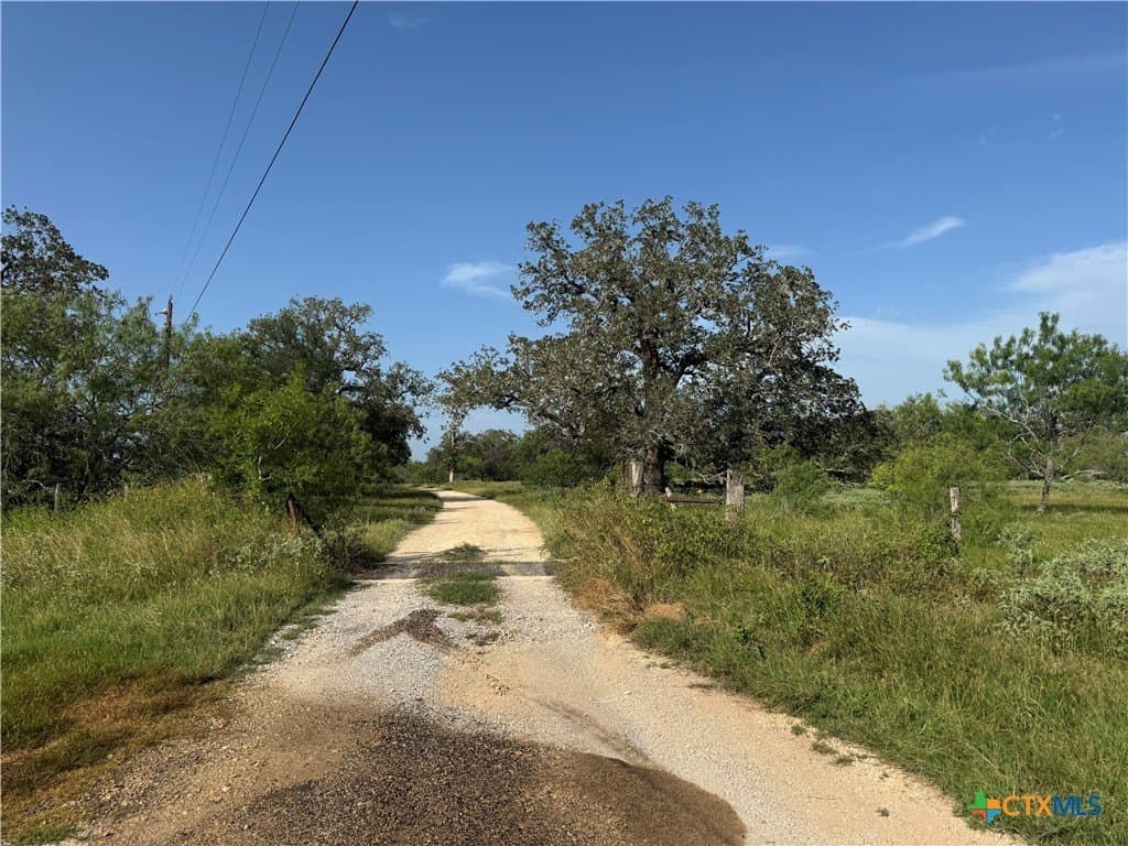 45.39 acres in Guadalupe County featured view