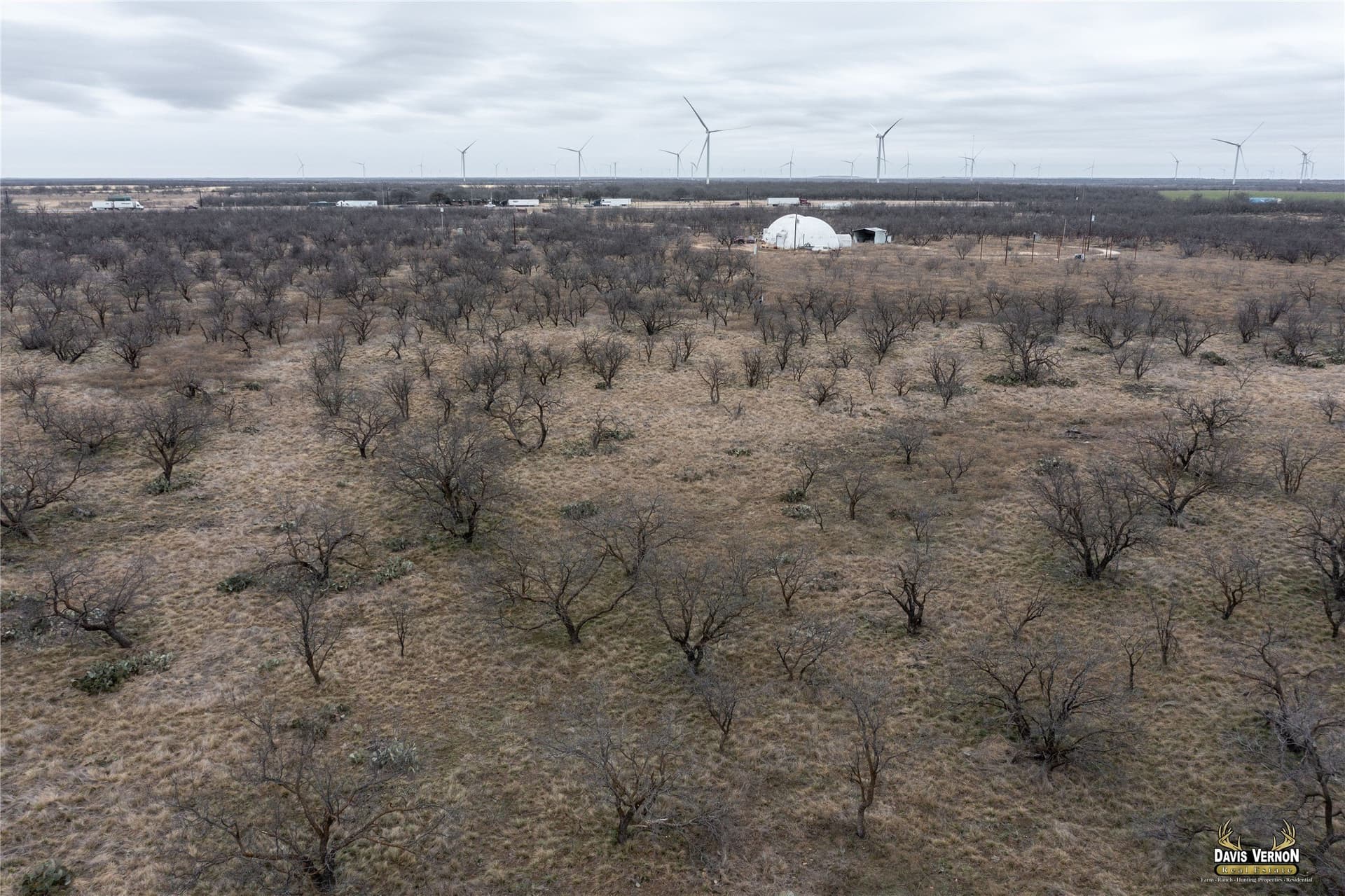 75 acres in Callahan County - photo 14