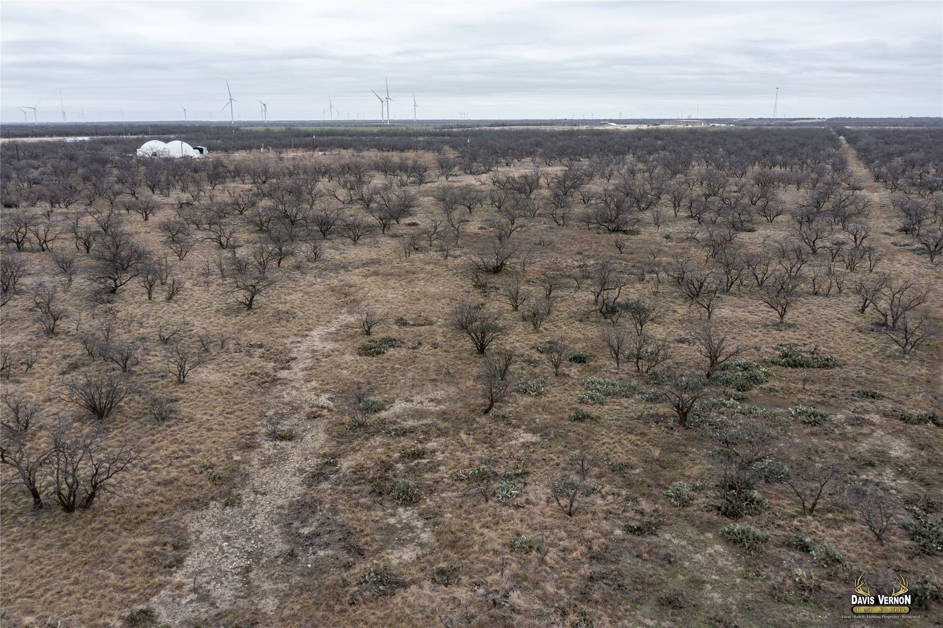 75 acres in Callahan County - photo 13