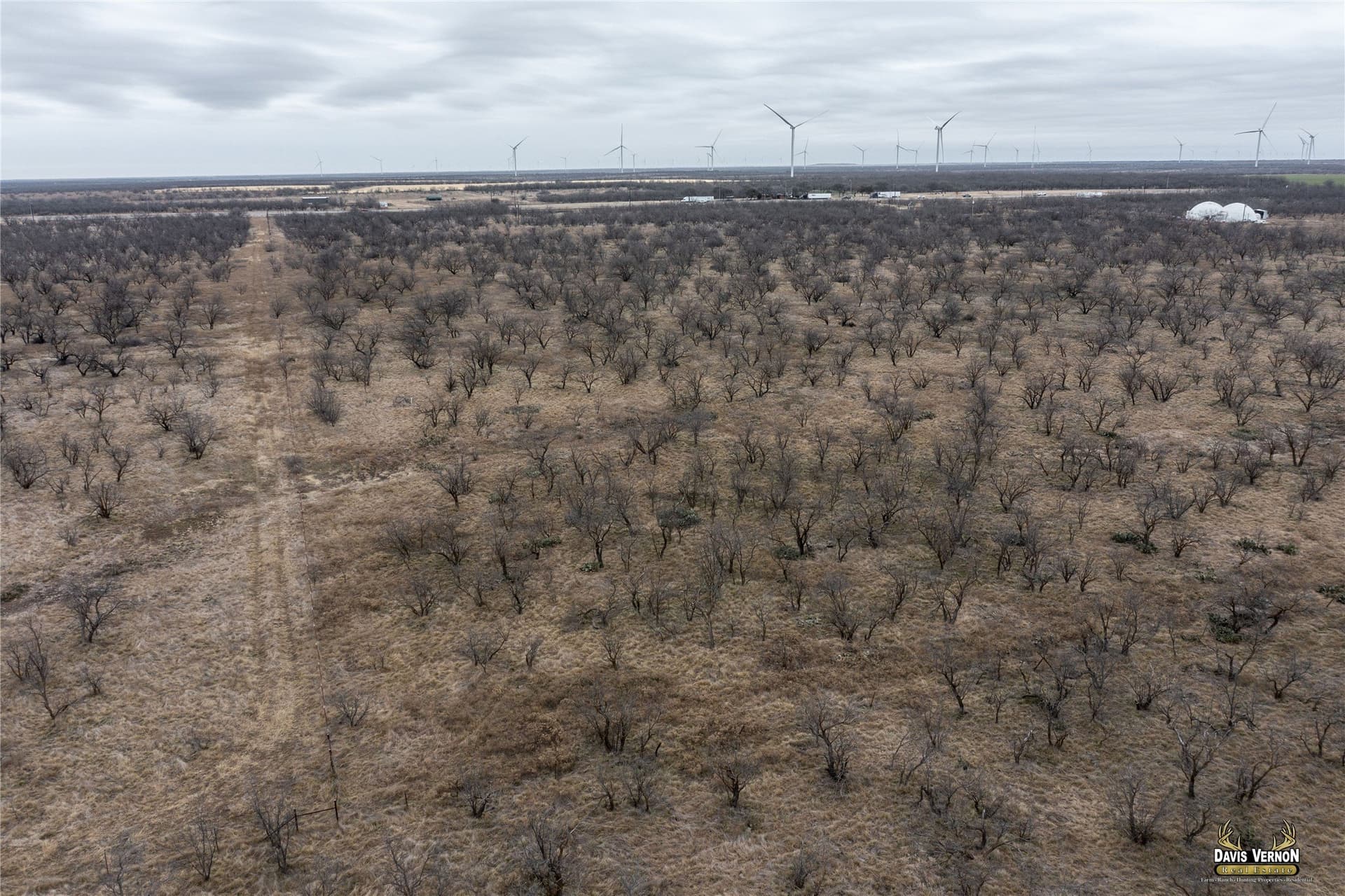 75 acres in Callahan County - photo 11