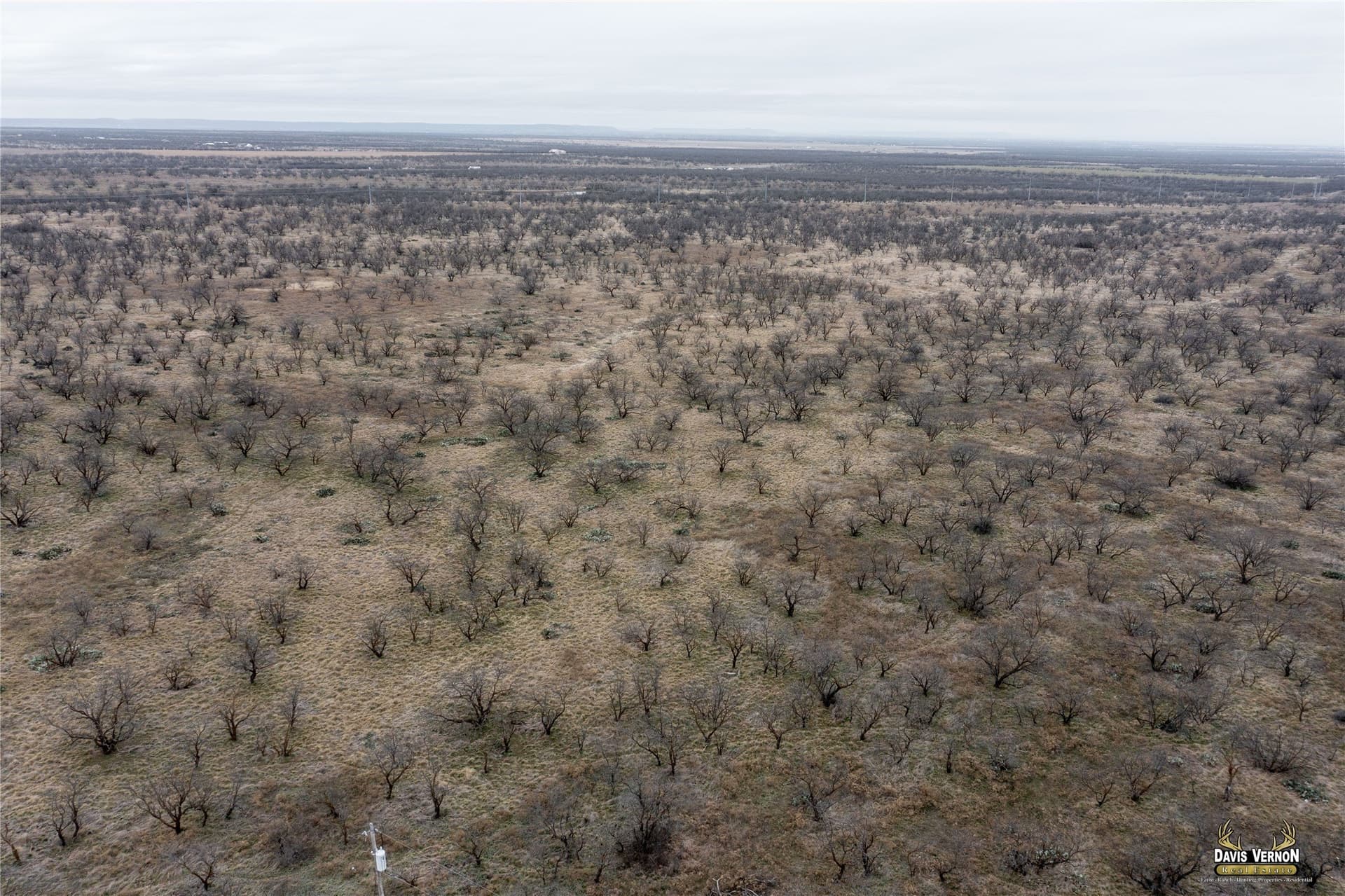 75 acres in Callahan County - photo 16