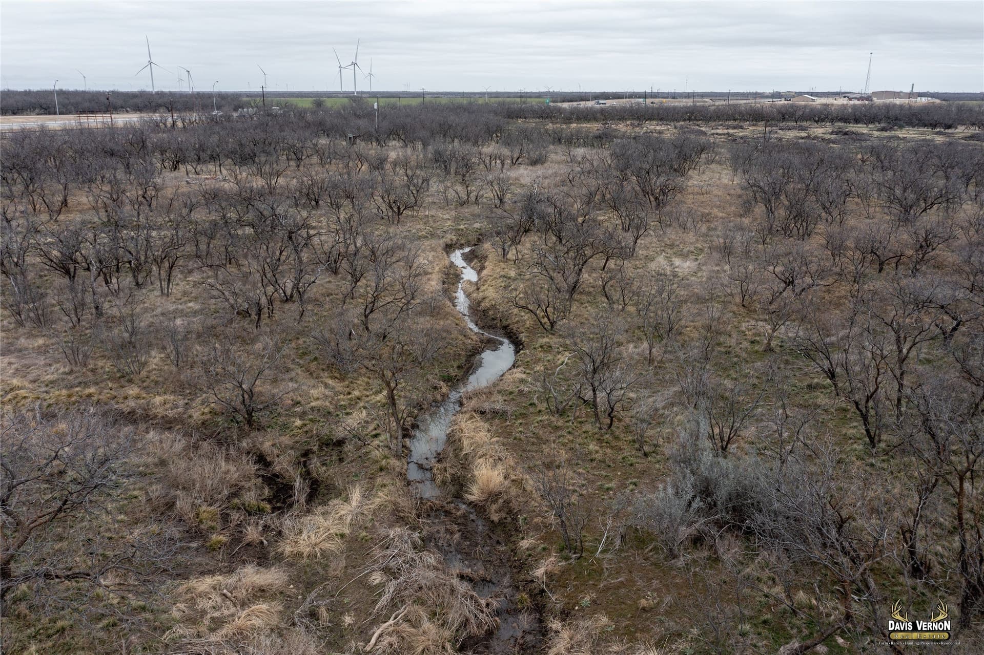 75 acres in Callahan County gallery image 2